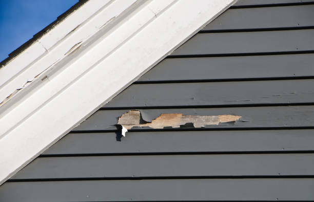 Best Stucco Siding  in Salinas, CA