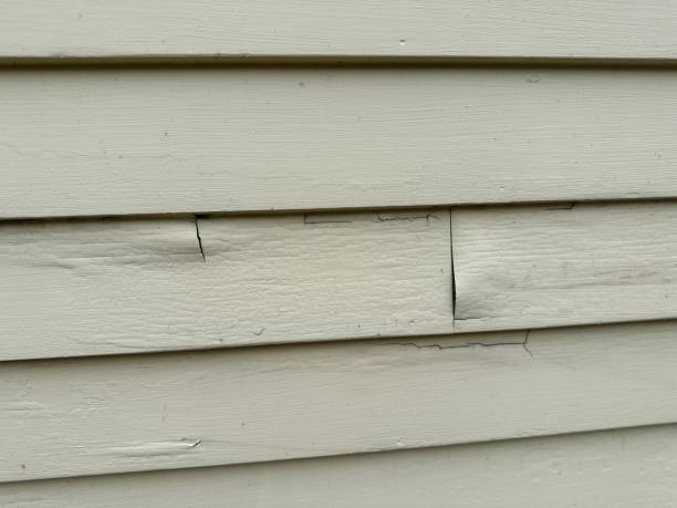Best Siding Painting and Refinishing  in Salinas, CA